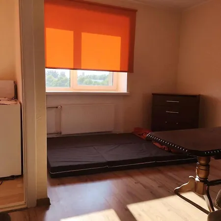 Simple One Flat By City Center Bridge Apartman